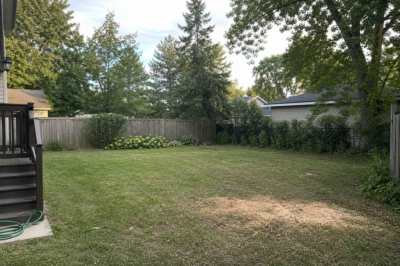 Courtice tree service
